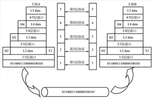 王道计算机网络 计算机网络体系结构全方位解析与计算机系统服务深度剖析（超详细版）